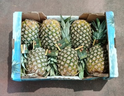 Foto Ananas Calibro 6 Origine Costa Rica Marchio Sweet 3
