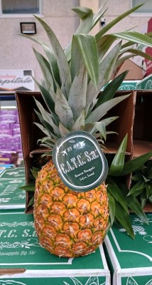 Foto Ananas Via Aerea Calibro 6 Origine Panama Marchio C.A.T.C. 1