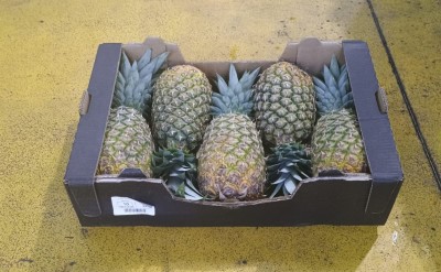 Foto Ananas Calibro 5 Origine Costa Rica Marchio Cartone Nero  1