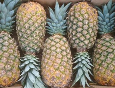 Foto Ananas Calibro 5 Origine Costa Rica Marchio Cartone Nero  2