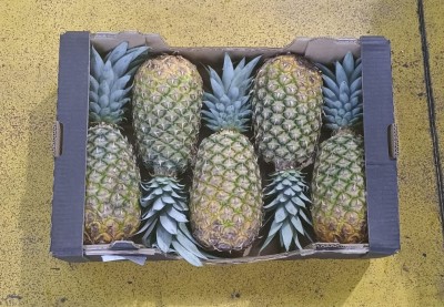 Foto Ananas Calibro 5 Origine Costa Rica Marchio Cartone Nero  3
