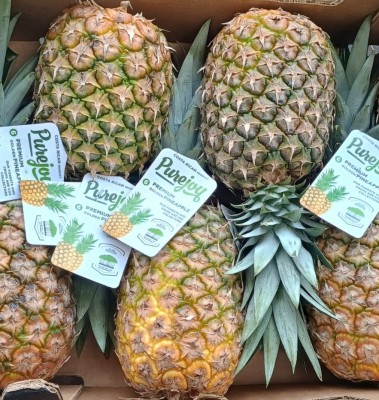 Foto Ananas Calibro 6 Origine Costarica Marchio Pure Joy  2