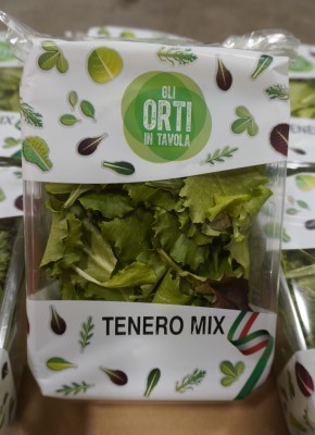 Foto Insalata Misticanza Cartone da  8 Bustine da 100 Gr Origine Italia Marchio Regina   2