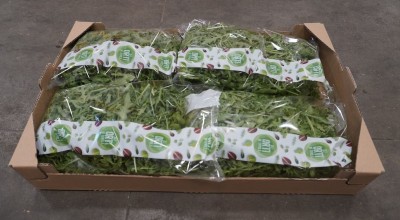 Foto Rughetta Cartone da 8 Vaschette da 100 gr Origine Italia Marchio Regina  1