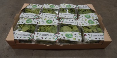 Foto Spinacino Cartone da 8 Vaschette da 125 Gr Origine Italia Marchio Regina 1