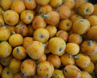 Foto Nespole Varietà Algar Origine Spagna Marchio Raimondo  2