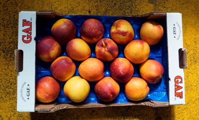 Foto Nettarine Varietà Pasta Gialla Origine Italia Calibro 16 Marchio Gaf 3