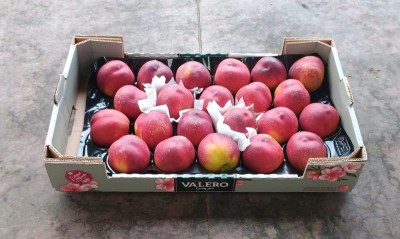 Foto Nettarine Varietà Pasta Gialla Calibro A22 Origine Spagna Marchio Valero  1