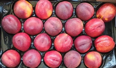Foto Nettarine A Pasta Gialla Calibro 20 Origine Spagna Marchio Tany 2