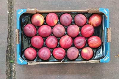 Foto Nettarine A Pasta Gialla Calibro 20 Origine Spagna Marchio Tany 3