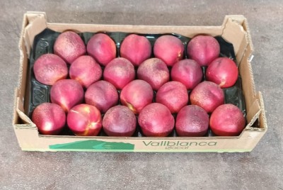 Foto Nettarine Varietà Carmina Calibro A22 Origine Spagna Marchio Valblanca 1