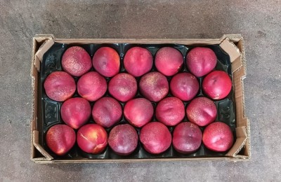 Foto Nettarine Varietà Carmina Calibro A22 Origine Spagna Marchio Valblanca 3