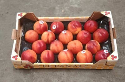 Foto Nettarine Varietà Kinolea Calibro A18 Origine Spagna Marchio Panal 1