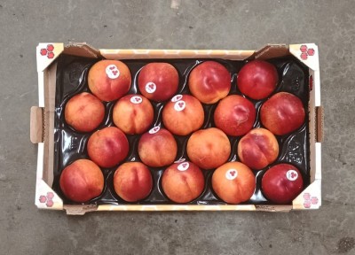 Foto Nettarine Varietà Kinolea Calibro A18 Origine Spagna Marchio Panal 3