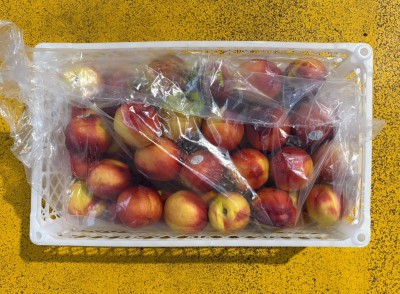 Foto Nettarine Varietà Venus Calibro 36 Origine Cile Marchio Agricola Gloria 3