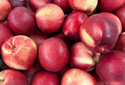 Foto Nettarine Varietà Sweet Giant Calibro 40 Origine Chile Marchio Agricola Gloria  2