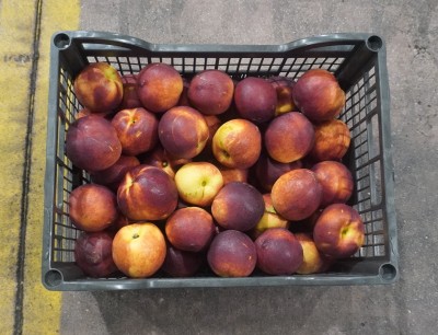 Foto Nettarine Varietà Pasta Gialla Calibro AA Origine Grecia Marchio Import Export Srl  3