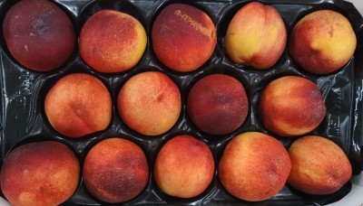 Foto Nettarine Varietá Atanais Calibro 14 Origine Italia Marchio Sant'Andrea 2