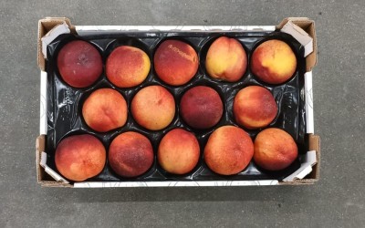 Foto Nettarine Varietá Atanais Calibro 14 Origine Italia Marchio Sant'Andrea 3