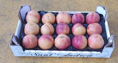 Foto Nettarine Varietà Kinolea Calibro 15 Origine Italia Marchio Sant'Andrea  1