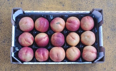 Foto Nettarine Varietà Kinolea Calibro 15 Origine Italia Marchio Sant'Andrea  3