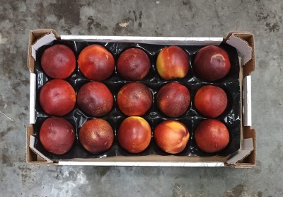 Foto Nettarine Varietà Atanais  Calibro 15 Origine Italia Marchio Sant'Andrea  3