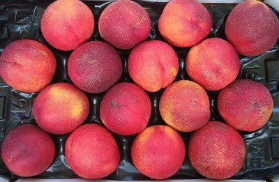 Foto Nettarine Varietà Atanais Calibro 16 Origine Italia Marchio Sant'Andrea  2