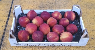 Foto Nettarine Varietà Ali Top Calibro 16 Origine Italia Marchio Sant'Andrea  1