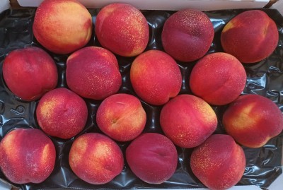 Foto Nettarine Varietà Ali Top Calibro 16 Origine Italia Marchio Sant'Andrea  2