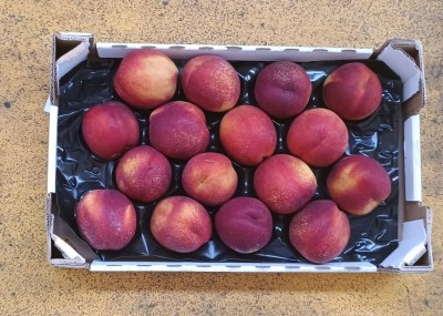 Foto Nettarine Varietà Ali Top Calibro 16 Origine Italia Marchio Sant'Andrea  3