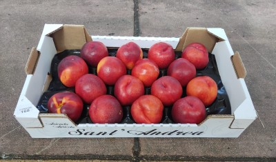 Foto Nettarine Varietà Honey Blaze Calibro 16 Origine Italia Marchio  Sant'Andrea 1