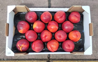 Foto Nettarine Varietà Honey Blaze Calibro 16 Origine Italia Marchio  Sant'Andrea 3