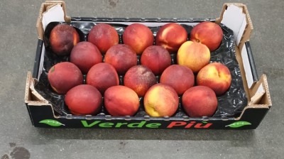 Foto Nettarine Varietà Atanais Calibro 18 Origine Italia Marchio Sant'Andrea  1