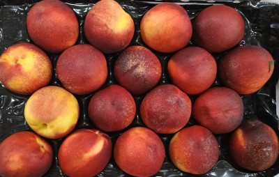 Foto Nettarine Varietà Atanais Calibro 18 Origine Italia Marchio Sant'Andrea  2