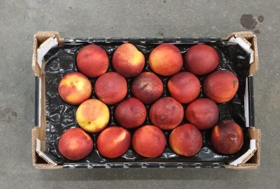 Foto Nettarine Varietà Atanais Calibro 18 Origine Italia Marchio Sant'Andrea  3