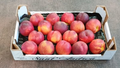 Foto Nettarine Varietà Bing Bang Calibro 18 Origine Italia Marchio Sant'Andrea 1