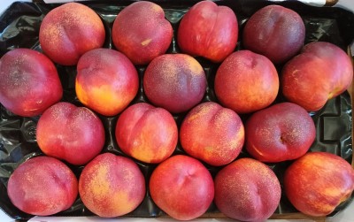 Foto Nettarine Varietà Bing Bang Calibro 18 Origine Italia Marchio Sant'Andrea 2