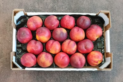 Foto Nettarine Varietà Bing Bang Calibro 18 Origine Italia Marchio Sant'Andrea 3