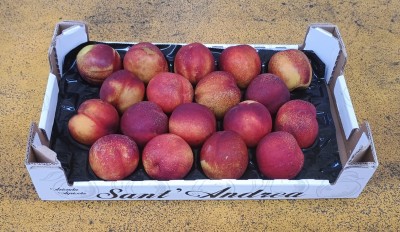 Foto Nettarine Varietà Ali Top Calibro 18 Origine Italia Marchio Sant'Andrea  1