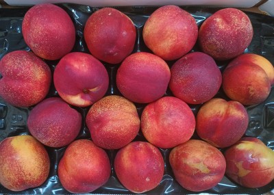 Foto Nettarine Varietà Ali Top Calibro 18 Origine Italia Marchio Sant'Andrea  2