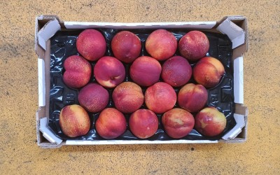 Foto Nettarine Varietà Ali Top Calibro 18 Origine Italia Marchio Sant'Andrea  3