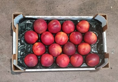 Foto Nettarine Varietà Honey Blaze Calibro 18 Origine Italia Marchio Sant'Andrea          3