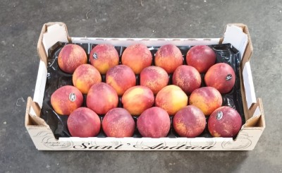 Foto Nettarine Varietà Early Bomba Calibro 20 Origine Italia Marchio Sant'Andrea 1