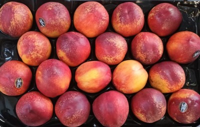 Foto Nettarine Varietà Early Bomba Calibro 20 Origine Italia Marchio Sant'Andrea 2