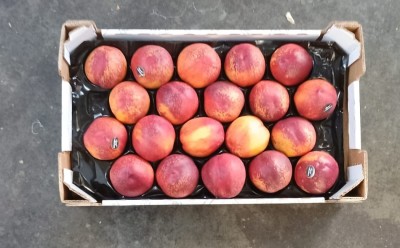 Foto Nettarine Varietà Early Bomba Calibro 20 Origine Italia Marchio Sant'Andrea 3