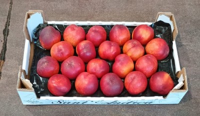 Foto Nettarine Varietà Bing Bang Calibro 20 Origine Italia Marchio Sant'Andrea       1