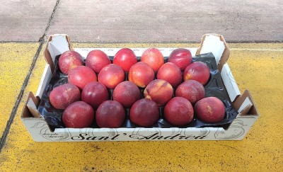 Foto Nettarine Varietà Honey Blaze Calibro 20 Origine Italia Marchio Sant'Andrea	       1