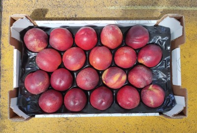 Foto Nettarine Varietà Honey Blaze Calibro 20 Origine Italia Marchio Sant'Andrea	       3