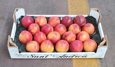 Foto Nettarine Varietà Gea Calibro 20 Origine Italia Marchio Sant'Andrea  1