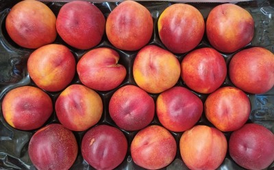 Foto Nettarine Varietà Gea Calibro 20 Origine Italia Marchio Sant'Andrea  2